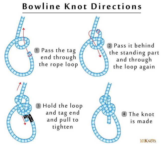 bowline
